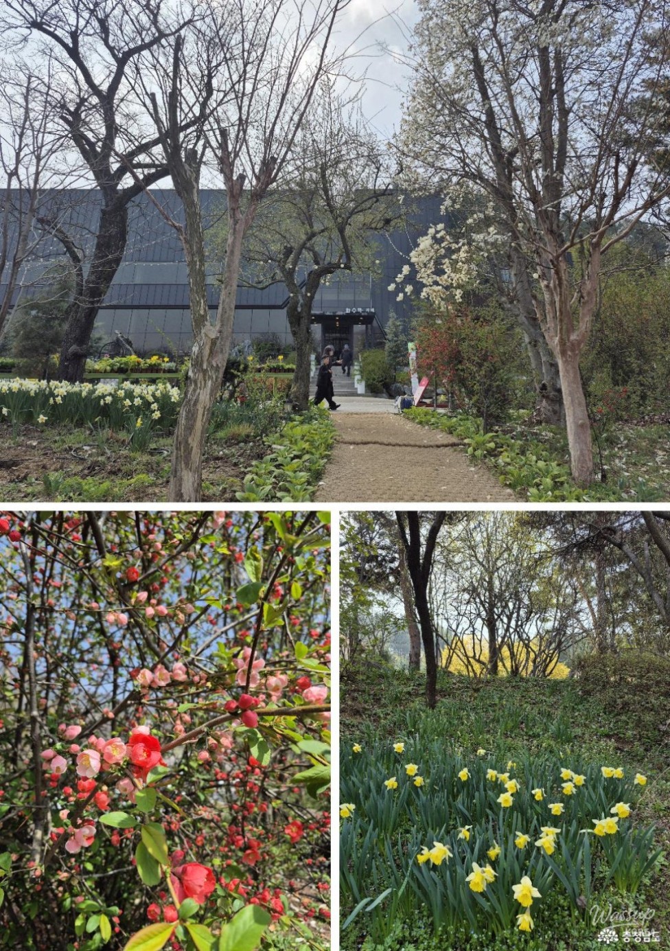 Beautiful Garden: Hwasumok_03