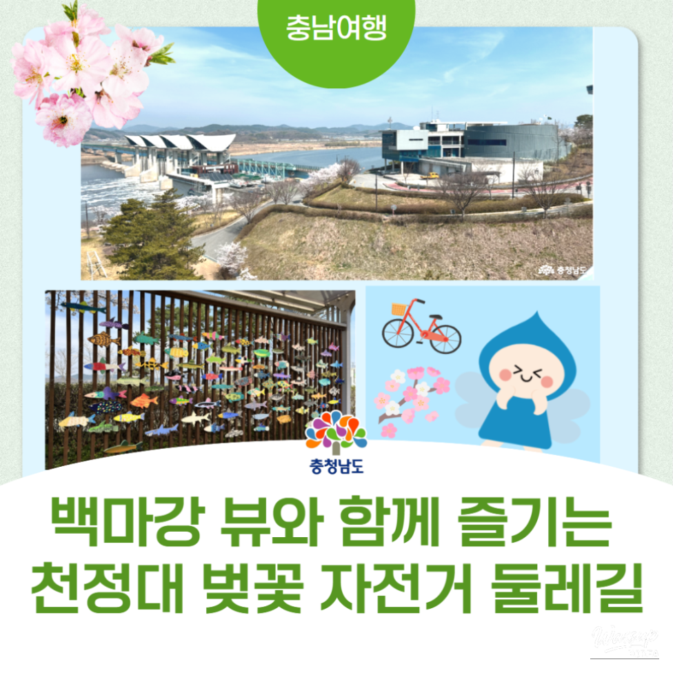 Exploring the Hidden Gems of Buyeo: A Biking Adventure_01