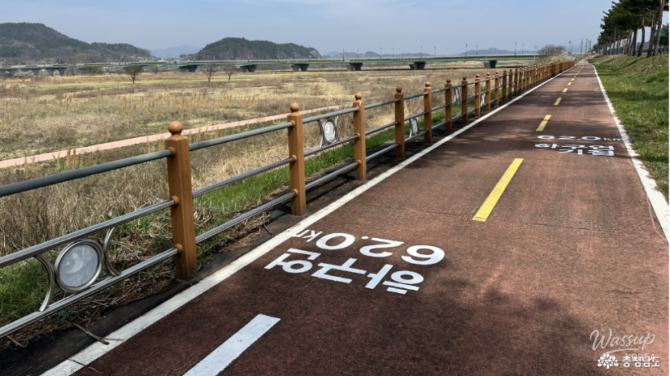 Exploring the Hidden Gems of Buyeo: A Biking Adventure_05