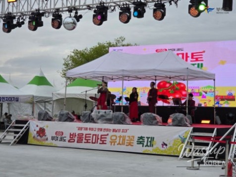 Buyeo Sedo Cherry Tomato & Canola Flower Festival_02