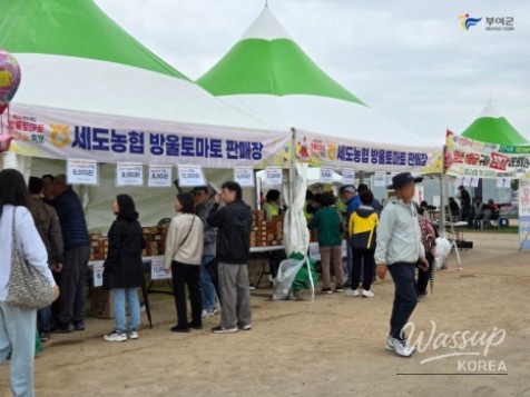 Buyeo Sedo Cherry Tomato & Canola Flower Festival_05