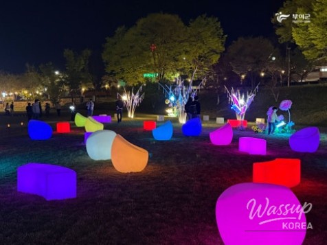 ✨2026 Buyeo National Heritage Night Tour✨_06