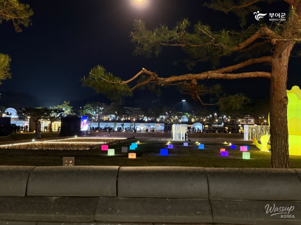 ✨2026 Buyeo National Heritage Night Tour✨_12