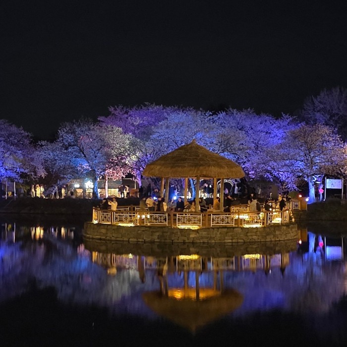 Exploring the Beautiful Goljeong Reservoir in Dangjin3341