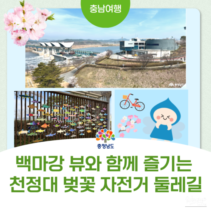 Exploring the Hidden Gems of Buyeo: A Biking Adventure3346