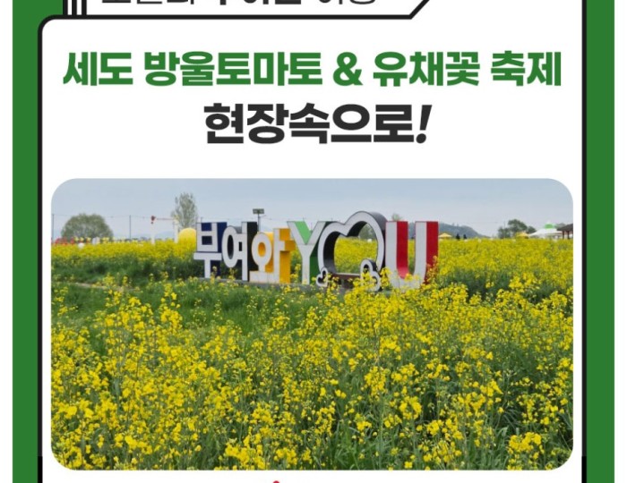 Buyeo Sedo Cherry Tomato & Canola Flower Festival float