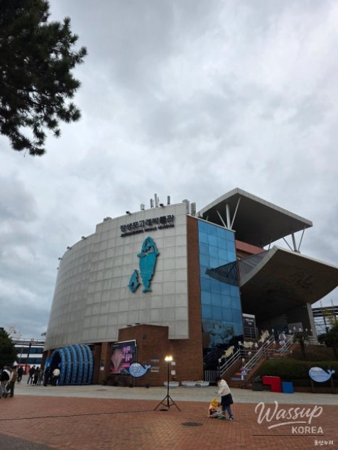 Exploring the Whale Culture Zone in Jangsaengpo_03