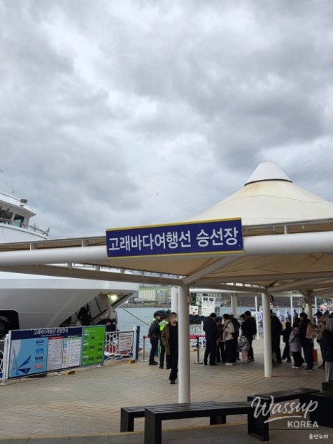 Exploring the Whale Culture Zone in Jangsaengpo_04