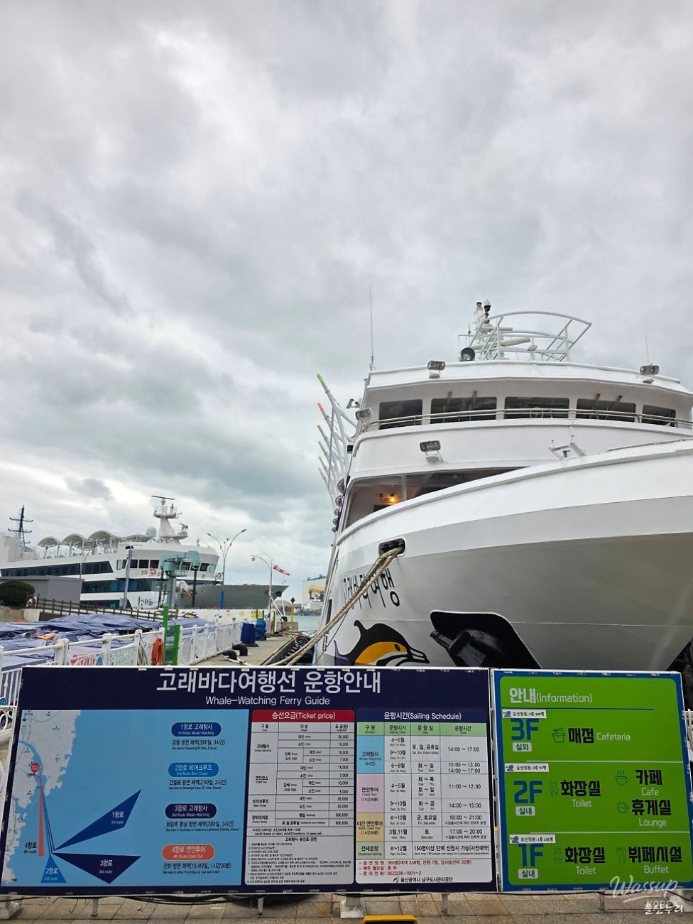 Exploring the Whale Culture Zone in Jangsaengpo_05