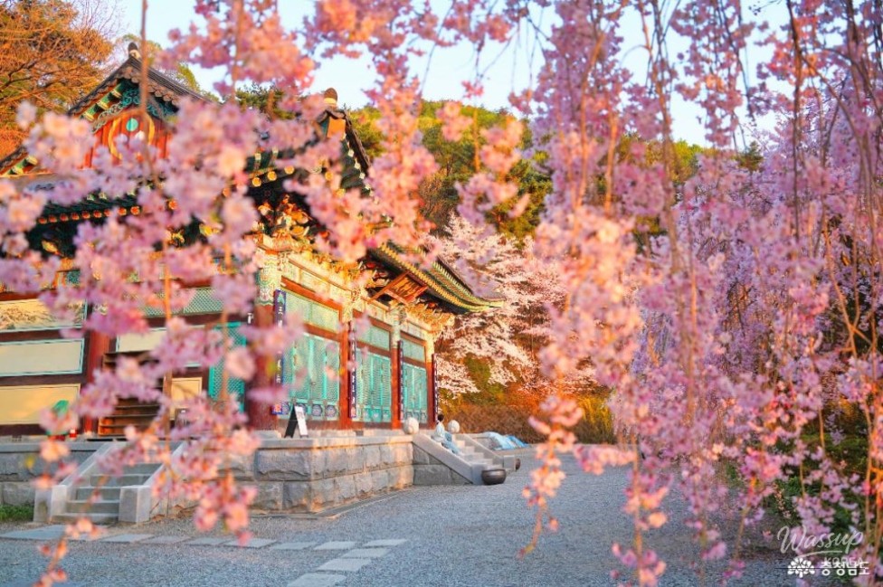 Exploring Gakwonsa Temple in Spring_03