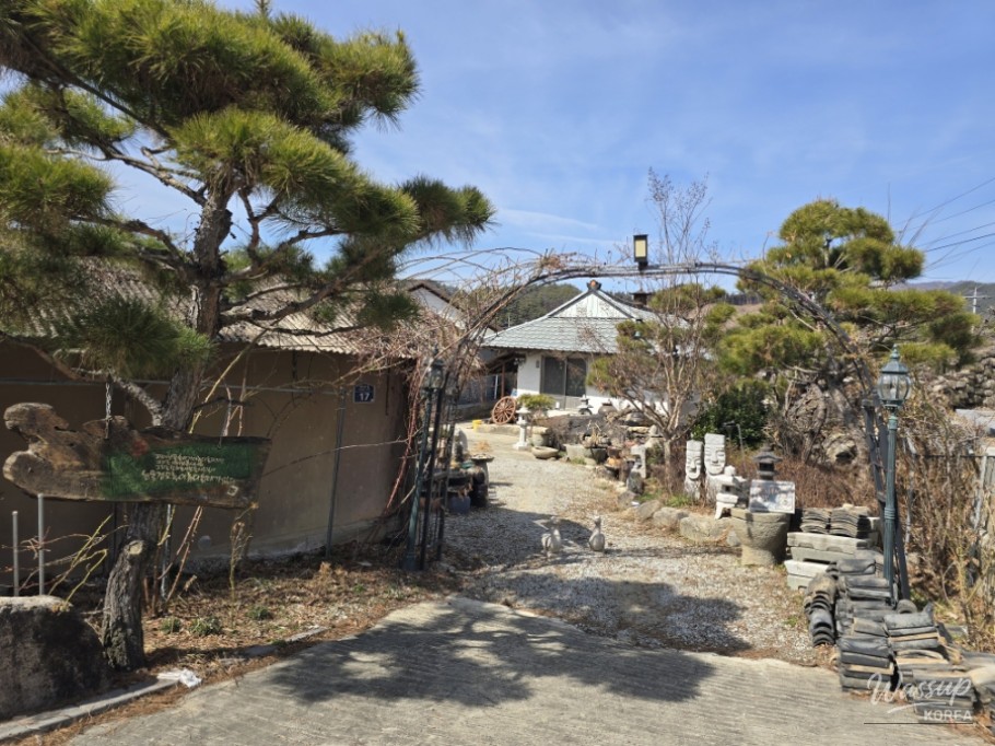 The Story of the Pine Tree Guarding the Hidden Travel Destination of Dangsong Village in Geochang_12