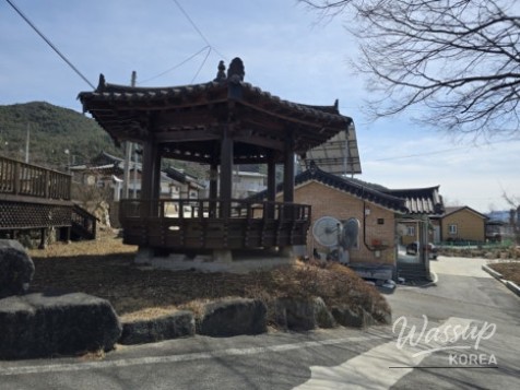 The Story of the Pine Tree Guarding the Hidden Travel Destination of Dangsong Village in Geochang_08