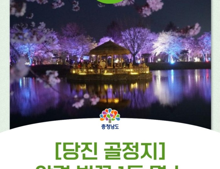 Cherry Blossom Viewing at Goljeong Reservoir in Dangjin float