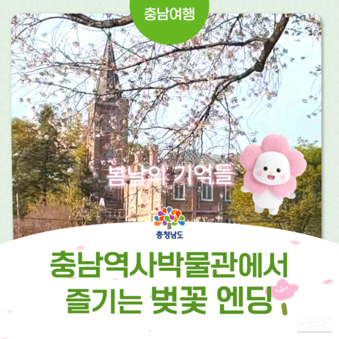 Spring Memories at Chungcheongnam-do History Museum3353