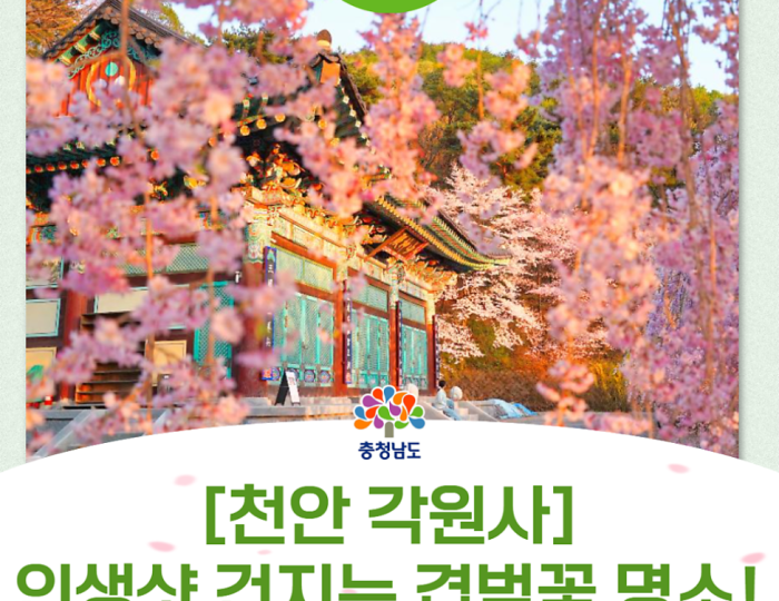 Exploring Gakwonsa Temple in Spring float