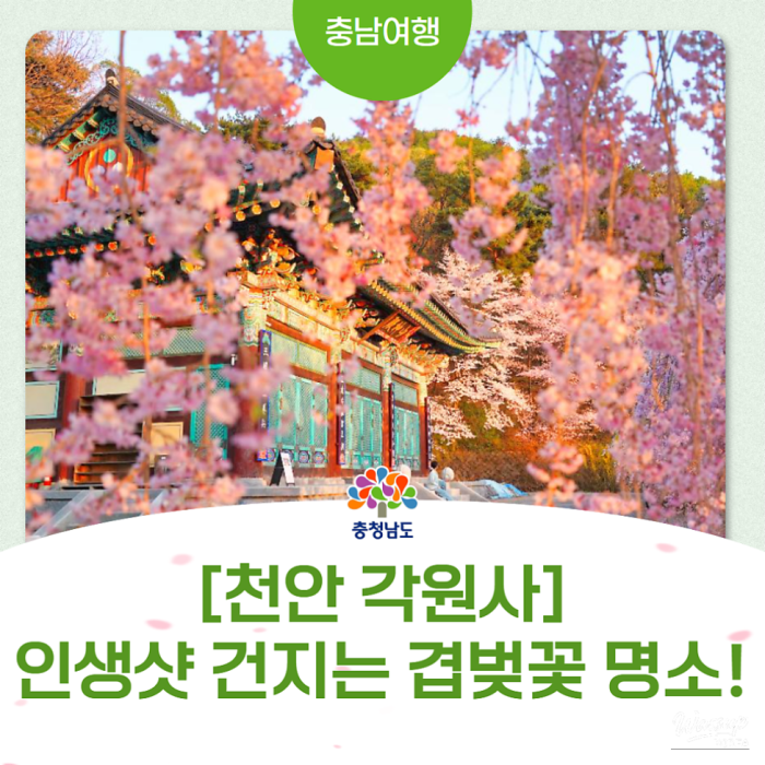 Exploring Gakwonsa Temple in Spring3354