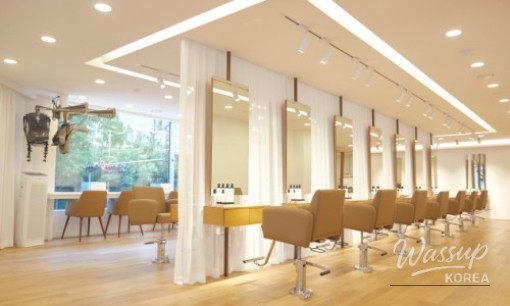 Chahong Room Apgujeong: A Premium Hair Salon Experience in Gangnam_13
