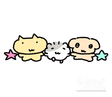 A Visit to Elephant Bagel in Insadong_05