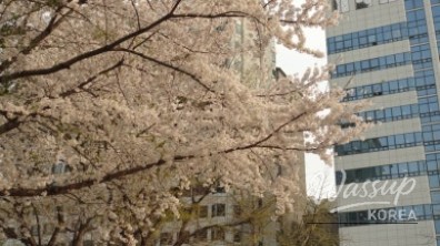 A Glimpse of Spring in April_04