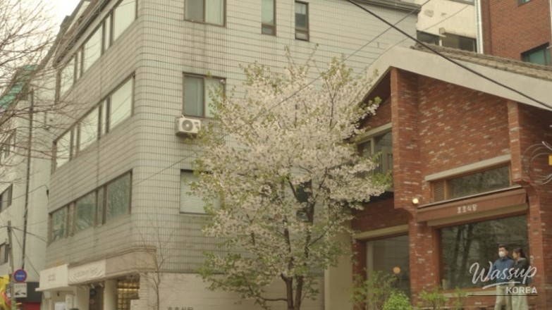 A Glimpse of Spring in April_02