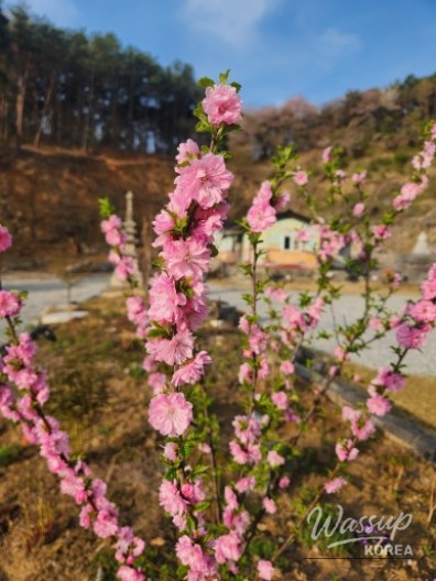 Celebrating the March 3rd Festival_09