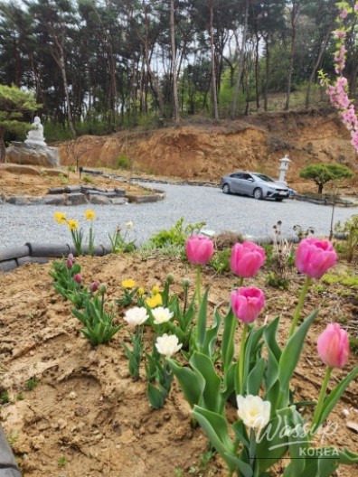 Celebrating the March 3rd Festival_10