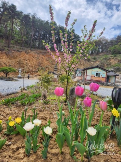 Celebrating the March 3rd Festival_08