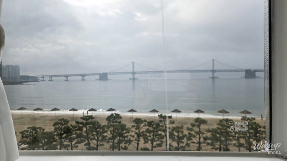 A Memorable Solo Trip to Busan_07