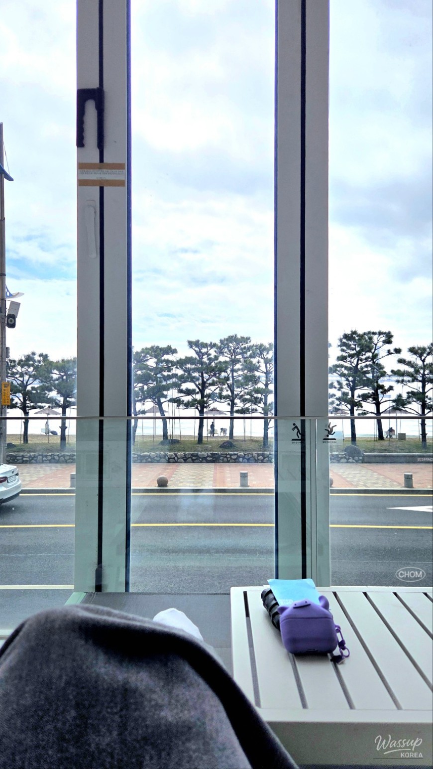 A Memorable Solo Trip to Busan_25