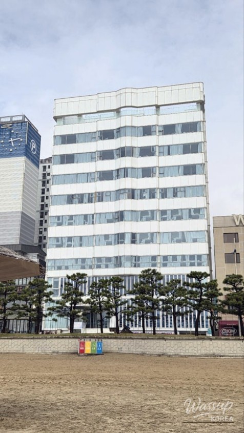 A Memorable Solo Trip to Busan_23