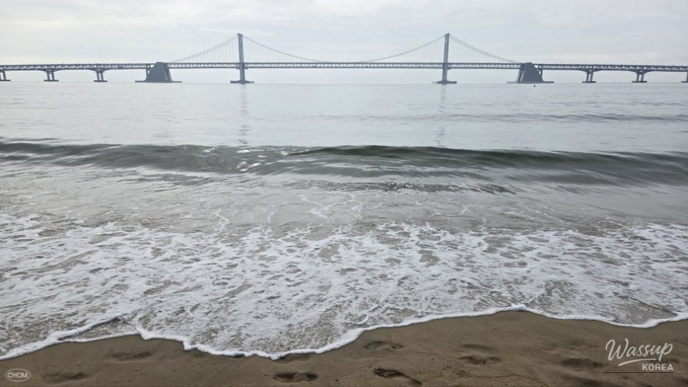 A Memorable Solo Trip to Busan_22