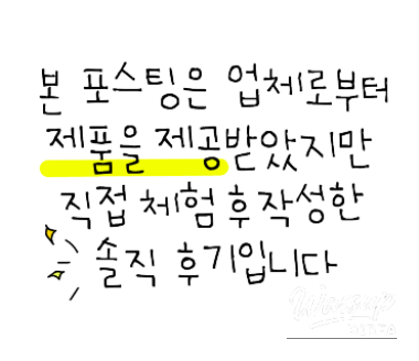 A Family Day Out at Seoul Land_02