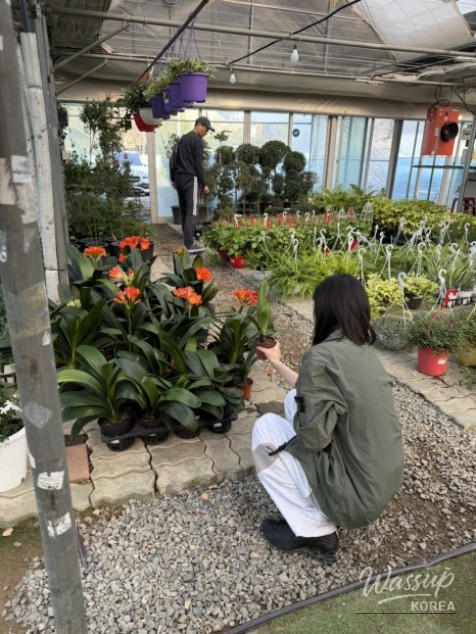 Reflections on Aging and Nature_03