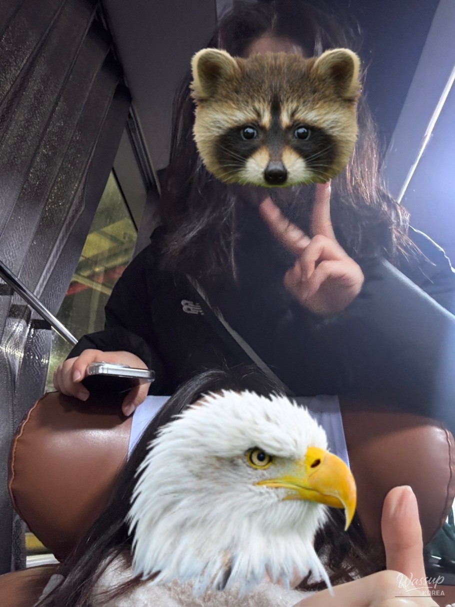 A Nighttime Adventure in the Countryside_01