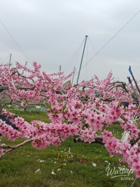 Reflections on Daily Life and Changes_03