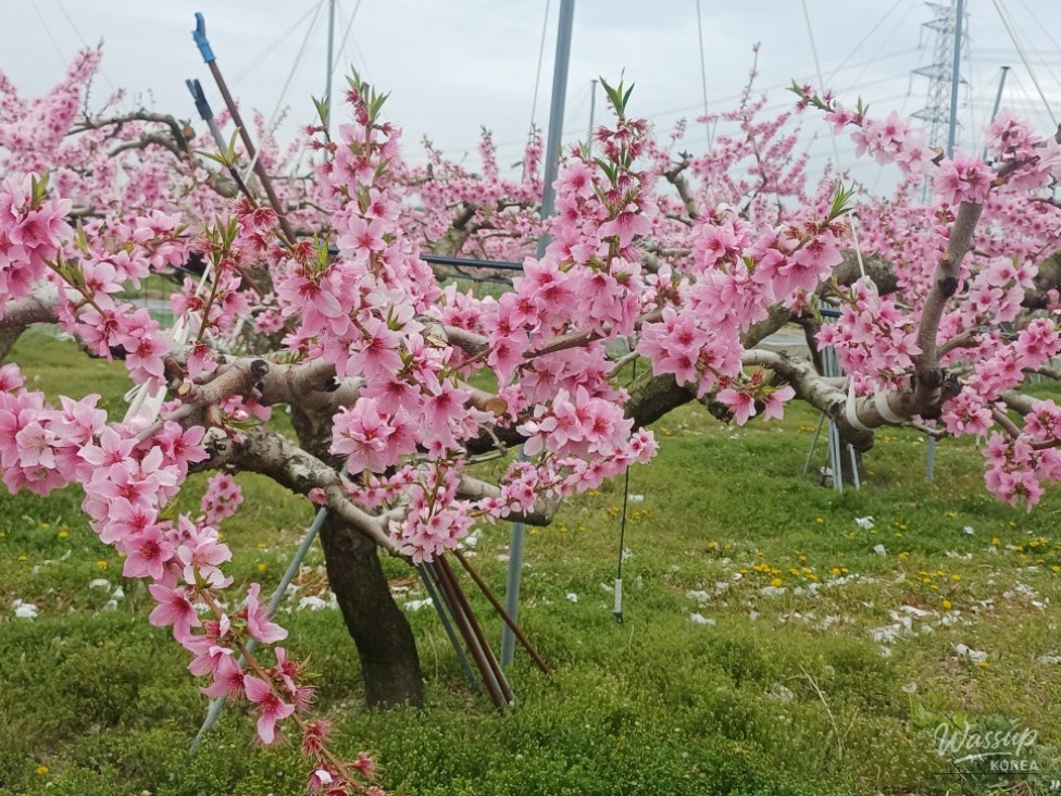 Reflections on Daily Life and Changes_02