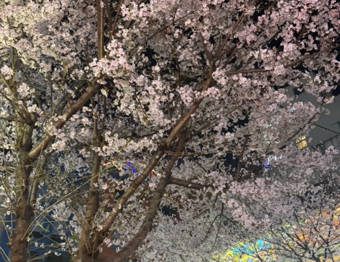 Reflections on Aging and Nature float