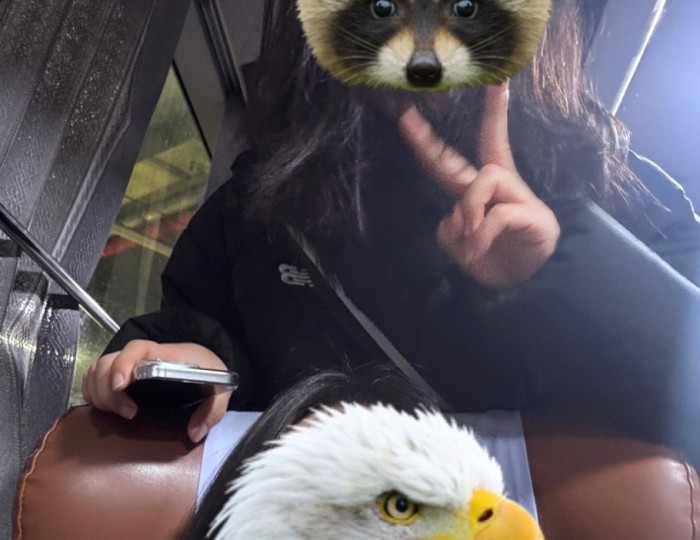 A Nighttime Adventure in the Countryside float