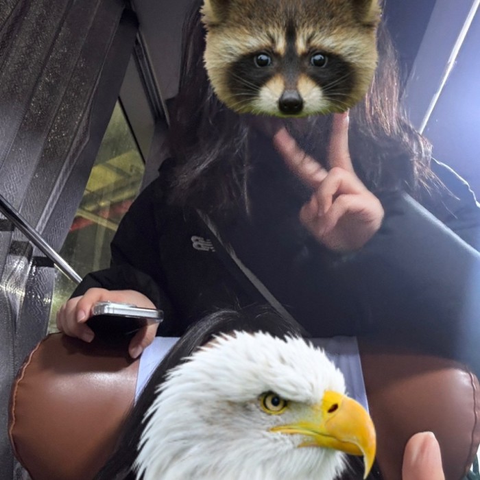 A Nighttime Adventure in the Countryside1666