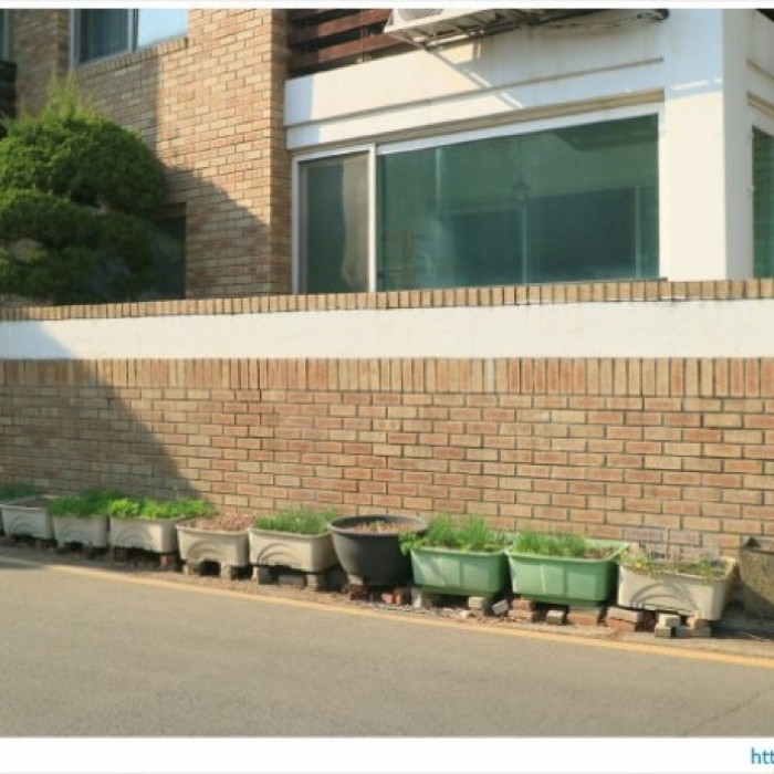 Exploring Hyodong: A Hidden Gem in Seoul252