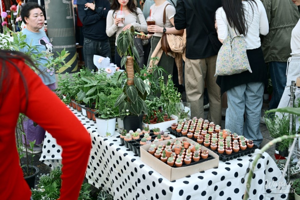 The Origins of Itaewon Antique Furniture Street and the 2026 Festival Experience_03