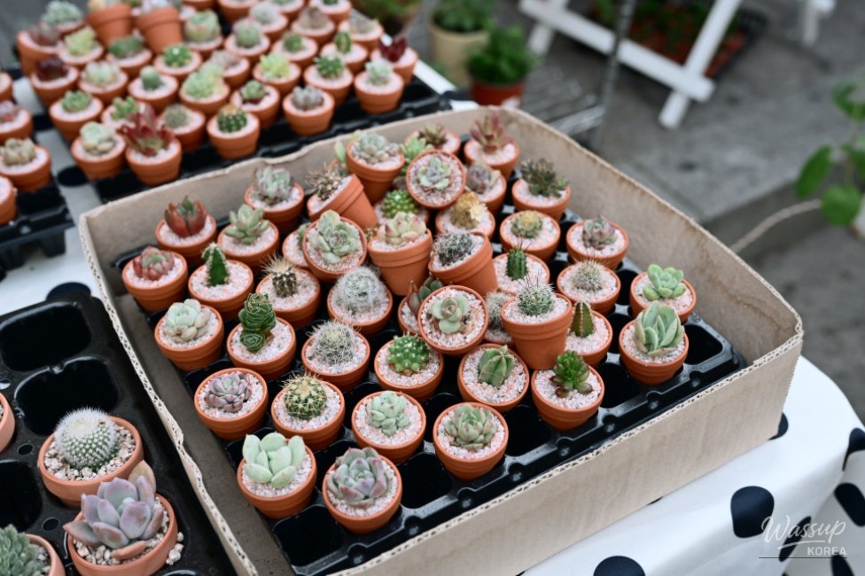 The Origins of Itaewon Antique Furniture Street and the 2026 Festival Experience_04