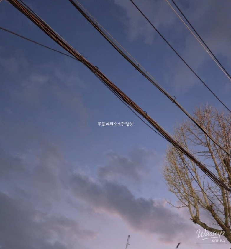 Daily Moments and Culinary Adventures_24