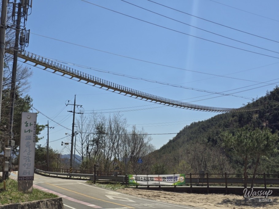 Exploring Susungdae Suspension Bridge in Geochang_05
