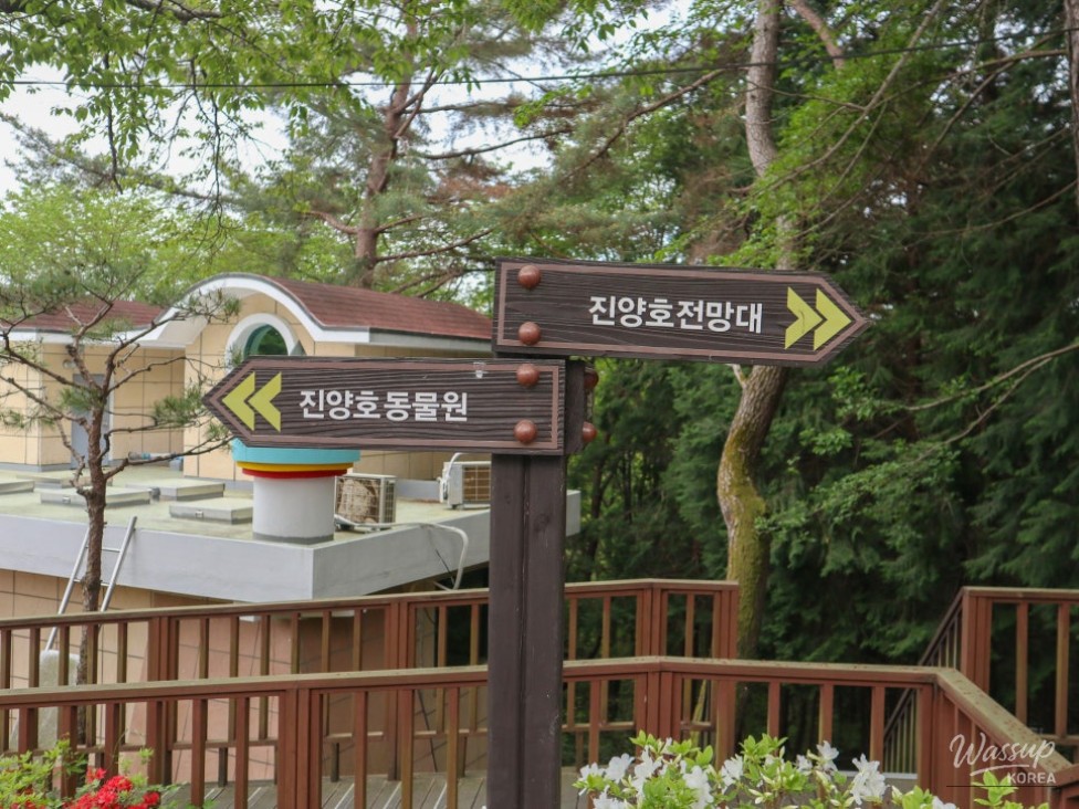 Exploring the Cherry Blossoms at Jinju Jinyangho_05