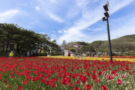 Exploring the Scenic Dodaamsambong Cruise_04