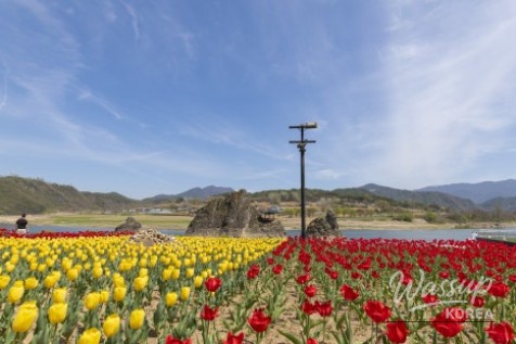 Exploring the Scenic Dodaamsambong Cruise_03
