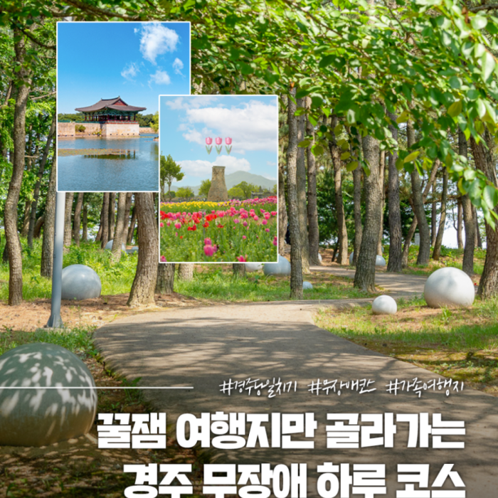 Accessible Travel in Gyeongju: A Guide3360