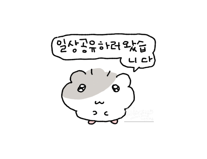 Daily Moments and Culinary Adventures float