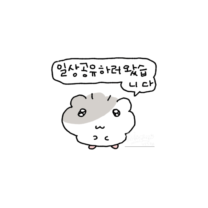 Daily Moments and Culinary Adventures781